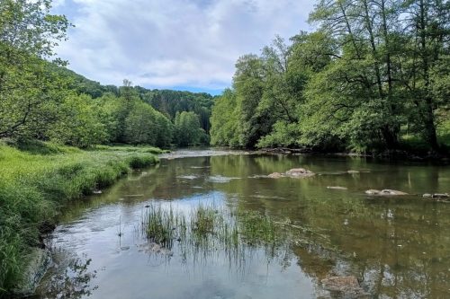 IMG_20250525_170323278_HDR