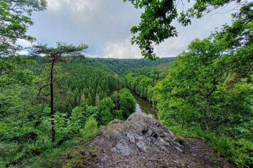 IMG_20250525_182732950_HDR