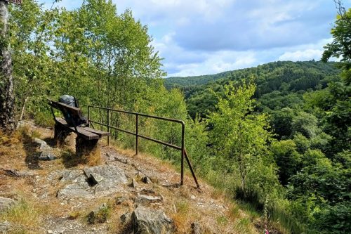 IMG_20250526_113349289_HDR