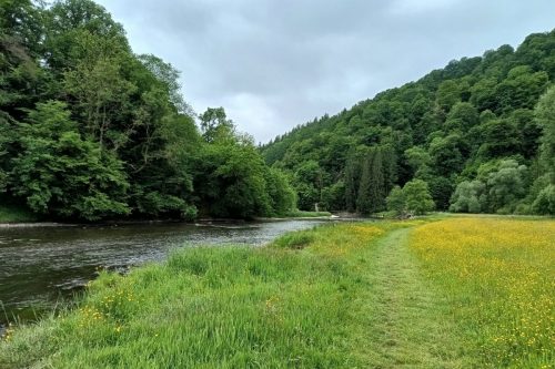 IMG_20250527_123722107_HDR