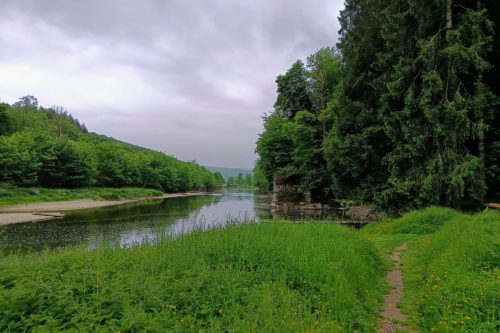 IMG_20250527_124007711