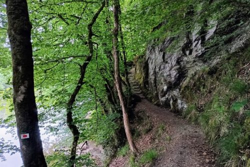 IMG_20250527_124311409_HDR(1)