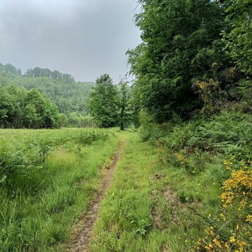 IMG_20250527_173805007_HDR