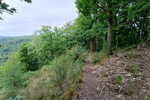 IMG_20250529_090254504_HDR