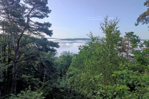 IMG_20250531_080852167_HDR