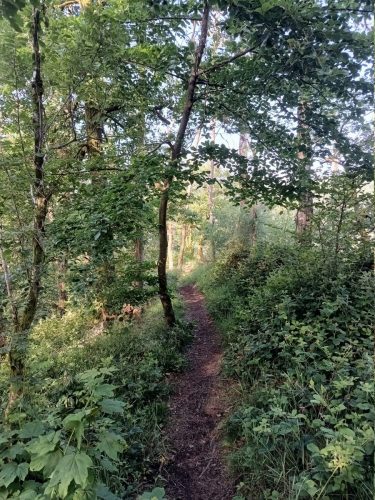 IMG_20250531_084309975_HDR
